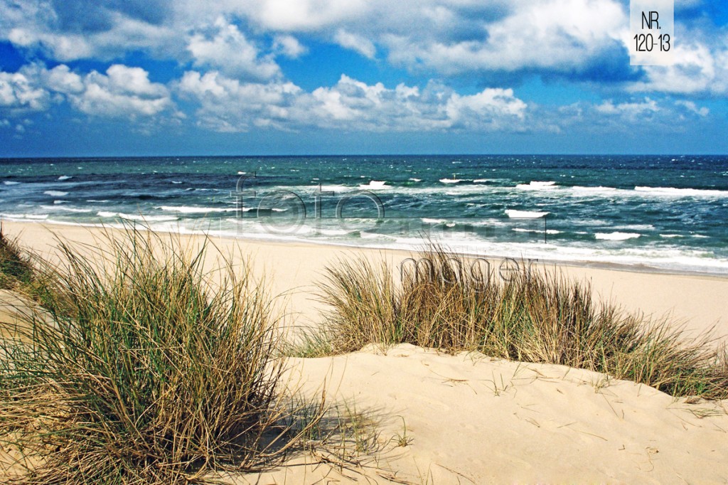 dünen, strand und meer - das ist sylt - foto mager